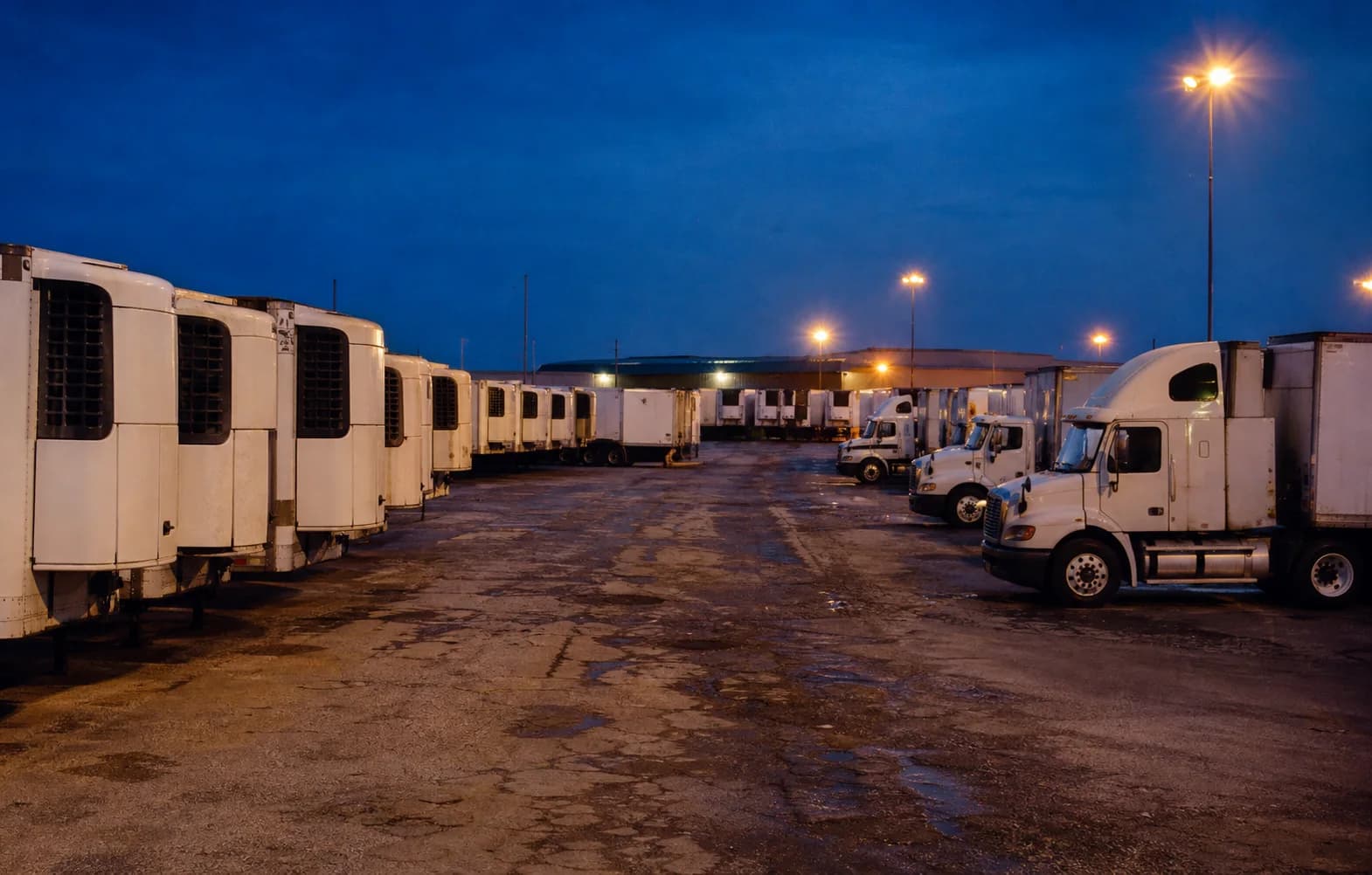 Refrigerated trailers aligned in an operating yard during blue hour